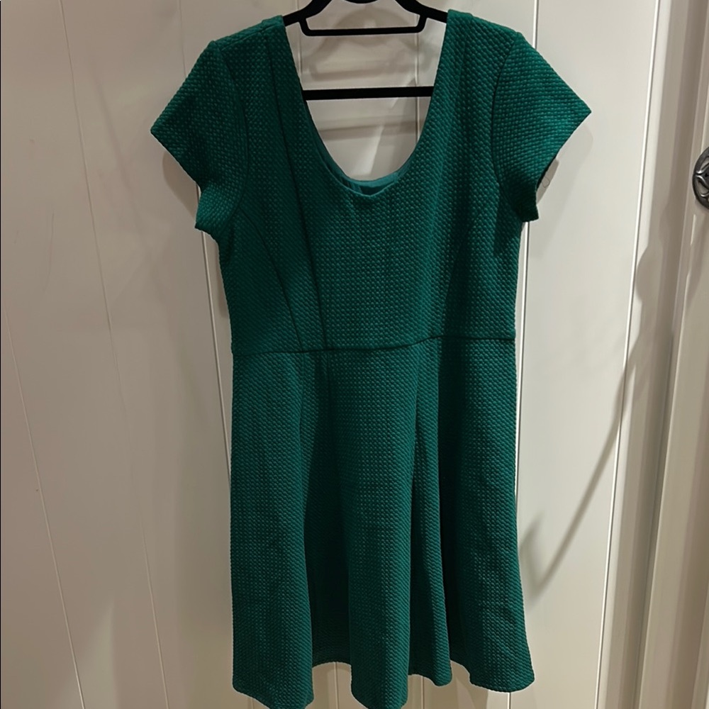 Anthropologie Fit & Flare Dress